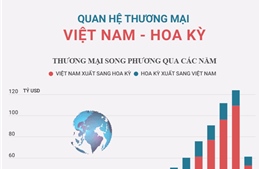 Quan hệ thương mại Việt Nam - Hoa Kỳ