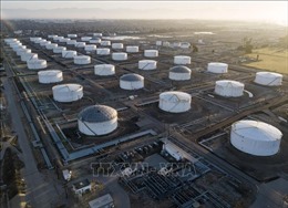 OPEC giữ nguyên dự báo tăng trưởng nhu cầu dầu toàn cầu năm 2023 và 2024