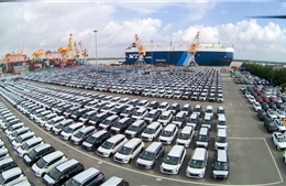 Số lượng ô tô nhập khẩu 11 tháng giảm