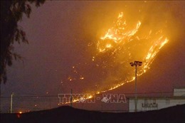 Italy: 700 khách phải sơ tán khỏi khách sạn vì cháy rừng