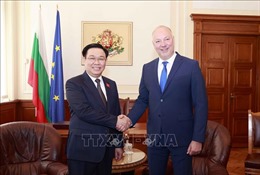 Chủ tịch Quốc hội Vương Đình Huệ hội đàm với Chủ tịch Quốc hội Bulgaria