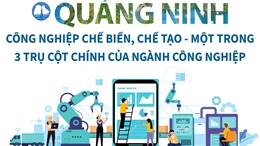 Công nghiệp chế biến, chế tạo - 1 trong 3 trụ cột chính của kinh tế Quảng Ninh