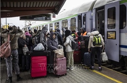 EU gia hạn quy chế bảo vệ tạm thời đối với người tị nạn Ukraine