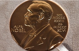 Nobel 2023: Những ứng cử viên được kỳ vọng cho giải thưởng Hóa học