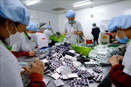 Chiến lược phát triển ngành Dược Việt Nam đến năm 2030