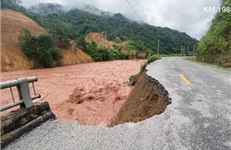 Gia Lai: Thiệt hại hàng trăm triệu đồng do ảnh hưởng của bão số 4
