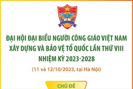 Đại hội đại biểu Người Công giáo Việt Nam xây dựng và bảo vệ Tổ quốc lần thứ VIII
