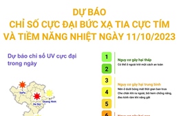 Dự báo chỉ số cực đại bức xạ tia cực tím và tiềm năng nhiệt ngày 11/10/2023