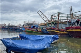 Ứng phó áp thấp nhiệt đới: Quảng Trị cấm biển từ 17 giờ ngày 17/10