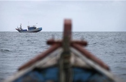 EU thông qua luật mới để theo dõi tàu cá