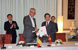 Các doanh nghiệp Việt Nam và Bỉ mở rộng hợp tác