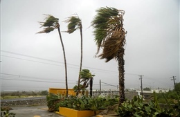Mexico tiếp tục ứng phó với bão Otis
