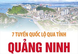 7 tuyến Quốc lộ qua tỉnh Quảng Ninh