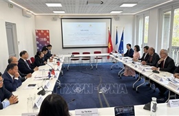 Nam Định tăng cường xúc tiến đầu tư thương mại với các doanh nghiệp Pháp