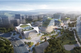 UNESCO đưa Triều Châu, Trùng Khánh của Trung Quốc vào Mạng lưới Thành phố sáng tạo