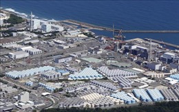 Nhật Bản xả thải đợt 3 từ nhà máy điện hạt nhân Fukushima số 1