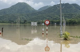 Các tỉnh, thành phố từ Thanh Hóa đến Phú Yên chủ động ứng phó với mưa lớn