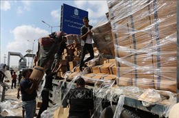 Ai Cập cung cấp thêm 650 tấn lương thực cho người Palestine ở Dải Gaza