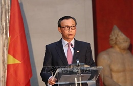 Đại sứ Lương Thanh Nghị: Quan hệ Việt Nam - Đan Mạch phát triển thực chất và hiệu quả