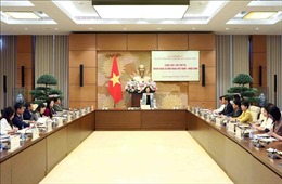 Tích cực triển khai hoạt động Nhóm Nghị sĩ hữu nghị Việt - Nhật