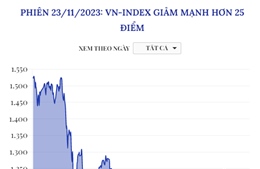 Phiên 23/11/2023: VN-Index giảm mạnh hơn 25 điểm