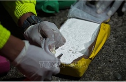 Tạm giam đối tượng thuê shipper vận chuyển gần 7kg ma túy