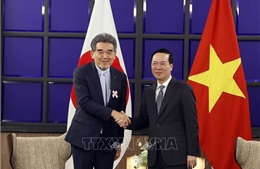 Chủ tịch nước Võ Văn Thưởng tiếp lãnh đạo Hiệp hội chuyên gia Nhật Bản - Việt Nam