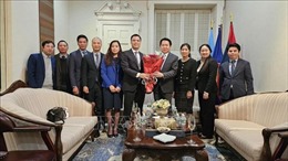 Vun đắp quan hệ hữu nghị giữa Phái đoàn Việt Nam và Lào tại Liên hợp quốc