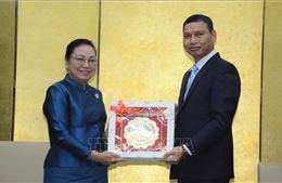Phát huy hiệu quả hợp tác giữa thành phố Đà Nẵng và các tỉnh Nam - Trung Lào