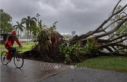 Australia khẩn trương khắc phục hậu quả của bão Jasper, cảnh báo nguy cơ lũ quét