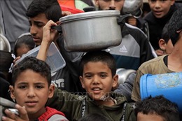 Xung đột Hamas - Israel: Algeria tiếp nhận 400 trẻ em Palestine bị thương