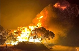 Australia cảnh báo cháy rừng ở nhiều khu vực do thời tiết nắng nóng