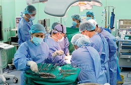 Thành phố Hồ Chí Minh: Phẫu thuật ghép gan thành công cho nhiều bệnh nhi