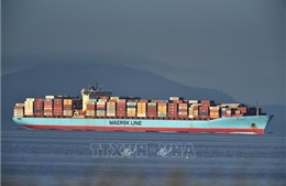 Một hãng tàu container tái đình chỉ hoạt động lưu thông qua Biển Đỏ