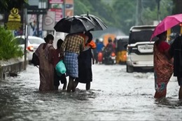 Ấn Độ: Mưa lớn làm tê liệt nhiều vùng tại bang Tamil Nadu