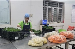 Hà Nội: Kết nối đảm bảo nguồn cung thực phẩm an toàn dịp cuối năm