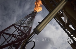 Các thành viên OPEC khẳng định duy trì cam kết sau sự &#39;rời đi&#39; của Angola