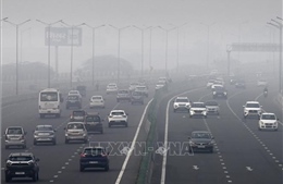 Sương mù ảnh hưởng xấu đến giao thông tại một số thành phố Ấn Độ