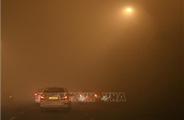 Ấn Độ: Sương mù gây ảnh hưởng nghiêm trọng tại thủ đô New Delhi