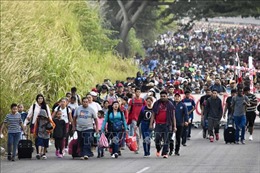 Mexico, Mỹ nhất trí lập ủy ban chung giải quyết vấn đề người di cư