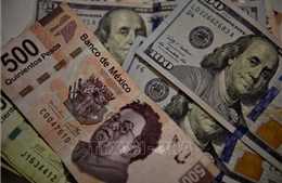 Dự trữ ngoại hối của Mexico cao kỷ lục kể từ năm 1995