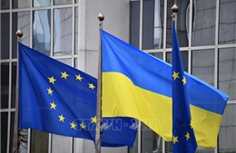 Quốc hội Ukraine đặt ưu tiên xích lại gần EU, NATO trong năm 2024