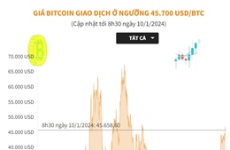 Giá Bitcoin giao dịch ở ngưỡng 45.700 USD/BTC