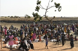 LHQ quan ngại về tình trạng người Sudan ồ ạt sang Nam Sudan tránh xung đột