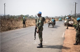 HĐBA LHQ lên án vụ tấn công nhằm vào phái bộ gìn giữ hòa bình tại CH Trung Phi