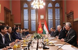 Thủ tướng Chính phủ Phạm Minh Chính hội kiến Phó Chủ tịch Quốc hội Hungary