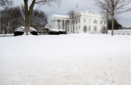 Mỹ: Thời tiết lạnh giá khiến hàng chục người thiệt mạng