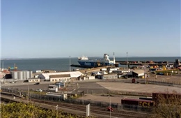 Ireland phát hiện 14 người di cư trong container đông lạnh ở cảng Rosslare