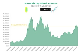 Bitcoin bám trụ trên mốc 43.000 USD