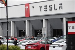 Tesla triệu hồi gần 2,2 triệu xe lỗi đèn cảnh báo